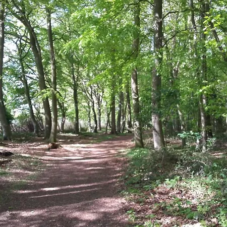 C1 By Interhome Kellenhusen