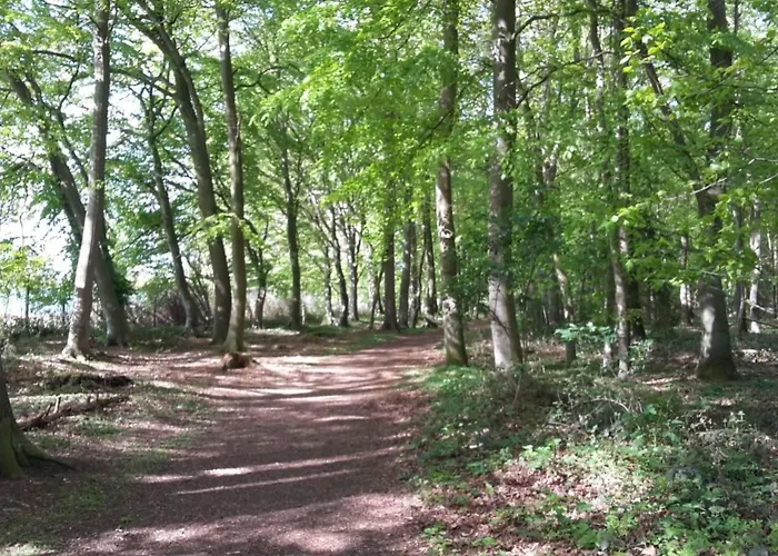 C1 By Interhome Kellenhusen